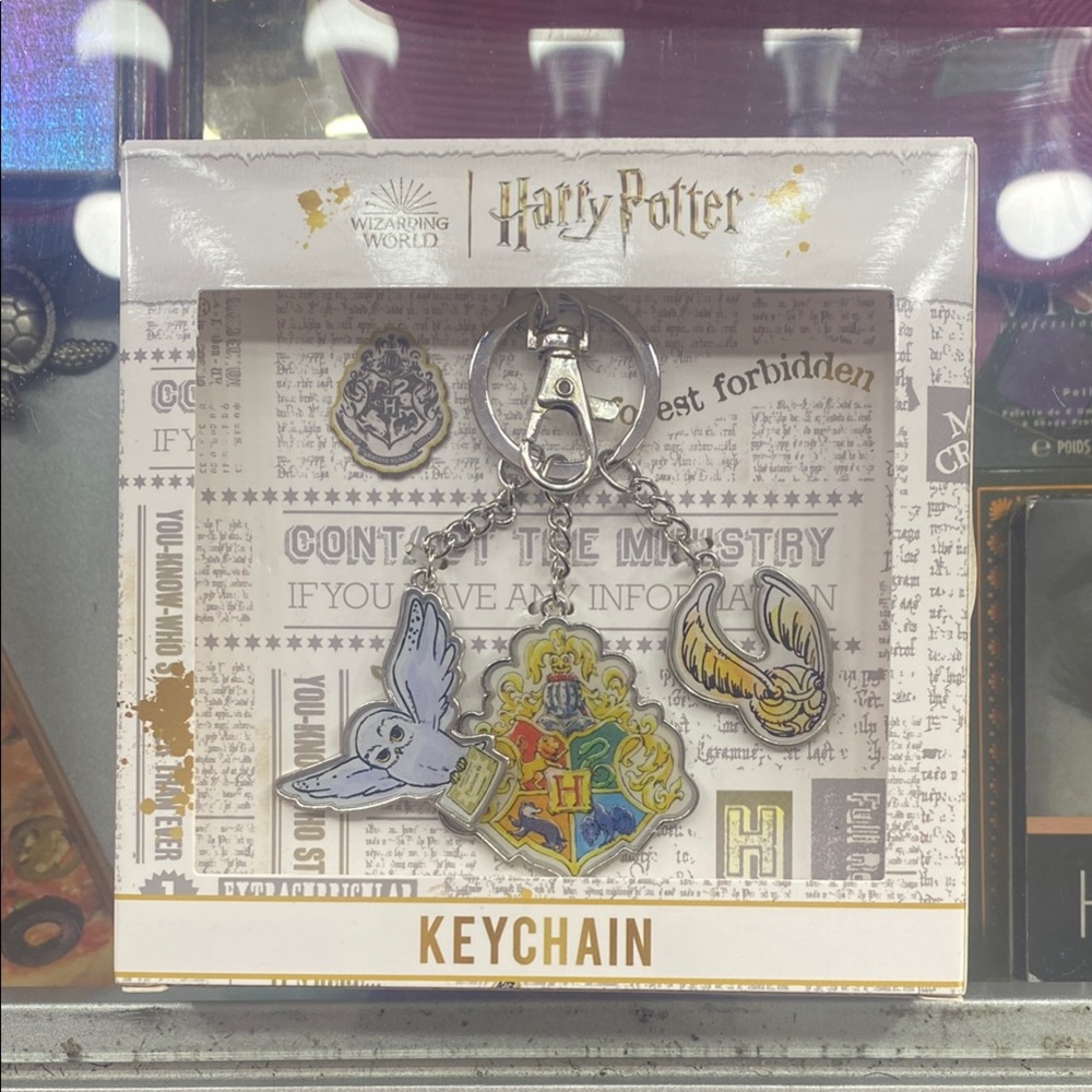 Harry Potter Keychain Set